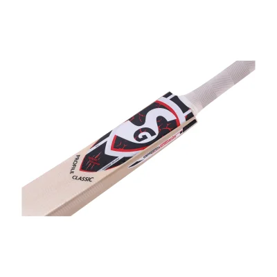 SG PROFILE KASHMIR WILLOW CRICKET BAT