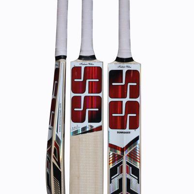 SS MASTER KASHMIR WILLOW CRICKET BAT SHORT HANDLE