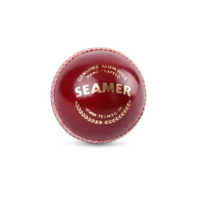 SG SEAMER CRICKET LEATHER BALL