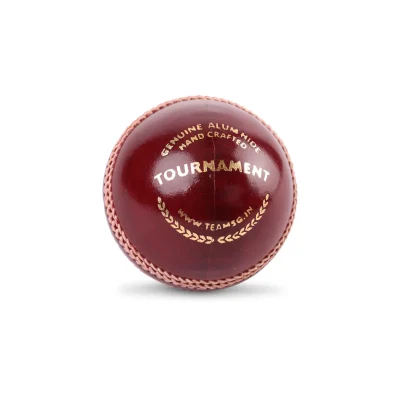 SG TOURNAMENT CRICKET LEATHER BALL