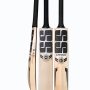 SS LIMITED EDITION ENGLISH WILLOW CRICKET BAT SHORT HANDLE