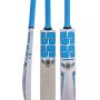 SS STORM ENGLISH WILLOW CRICKET BAT SHORT HANDLE