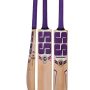 SS BLAST ENGLISH WILLOW CRICKET BAT SHORT HANDLE