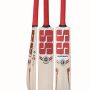 SS MAXIMUS ENGLISH WILLOW CRICKET BAT SHORT HANDLE