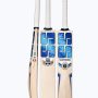 SS WORLD CUP EDITION BLUE ENGLISH WILLOW CRICKET BAT SHORT HANDLE