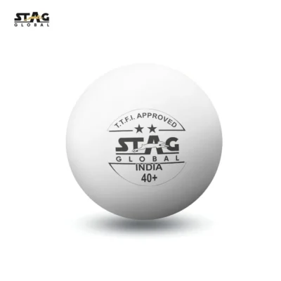 STAG 2 STAR TABLE TENNIS BALL (WHITE & ORANGE)