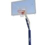 STAG BASKETBALL FIXED POLE